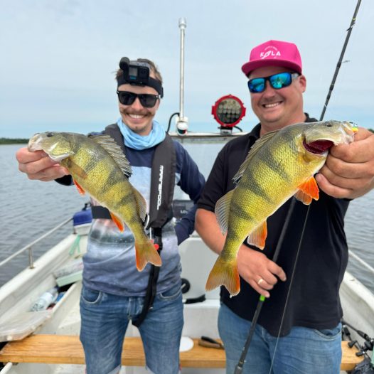 VÄNTO LURES – KÄSITÖÖLANDID 38 VÄNTO LURES - KÄSITÖÖLANDID 38